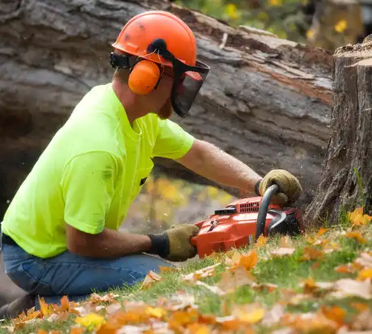 tree services Rockwood